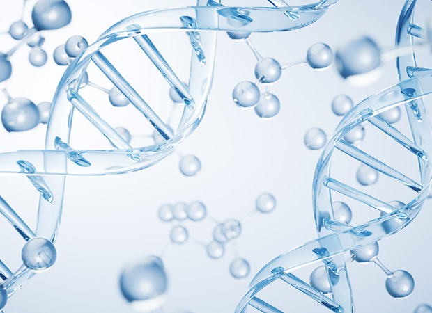 리쥬란포인트 이미지1