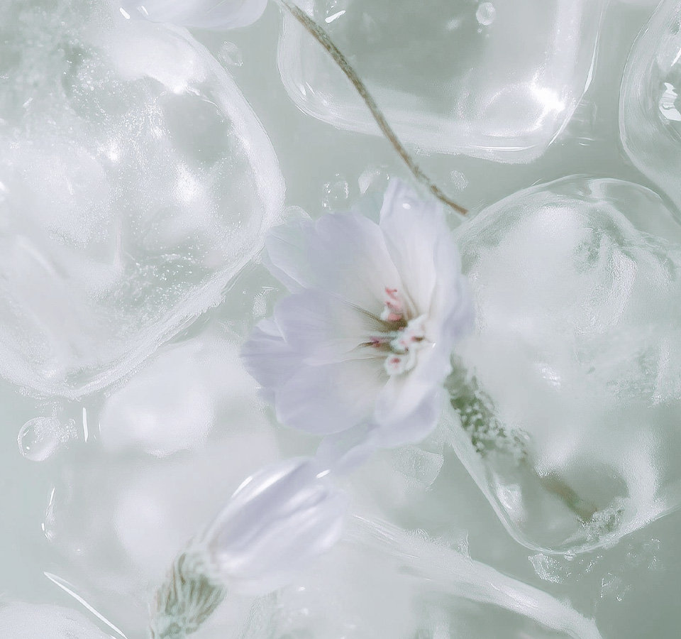 포텐자추천대상 이미지