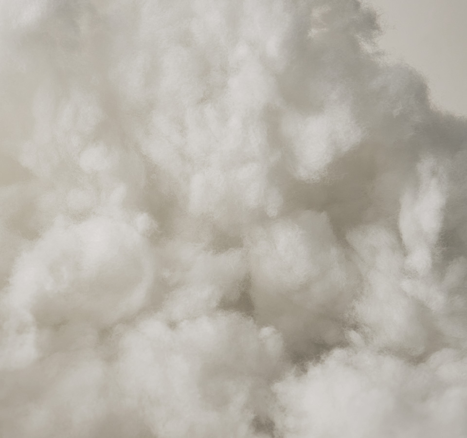 슈링크유니버스추천대상 이미지