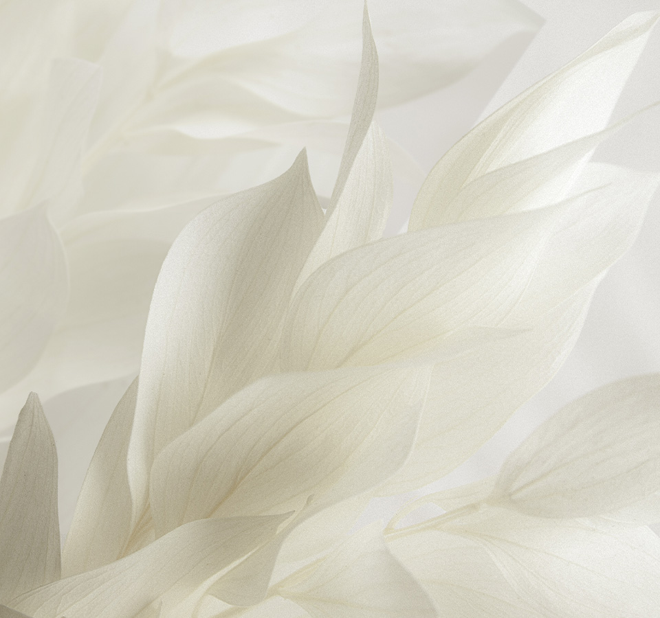 울쎄라피프라임추천대상 이미지