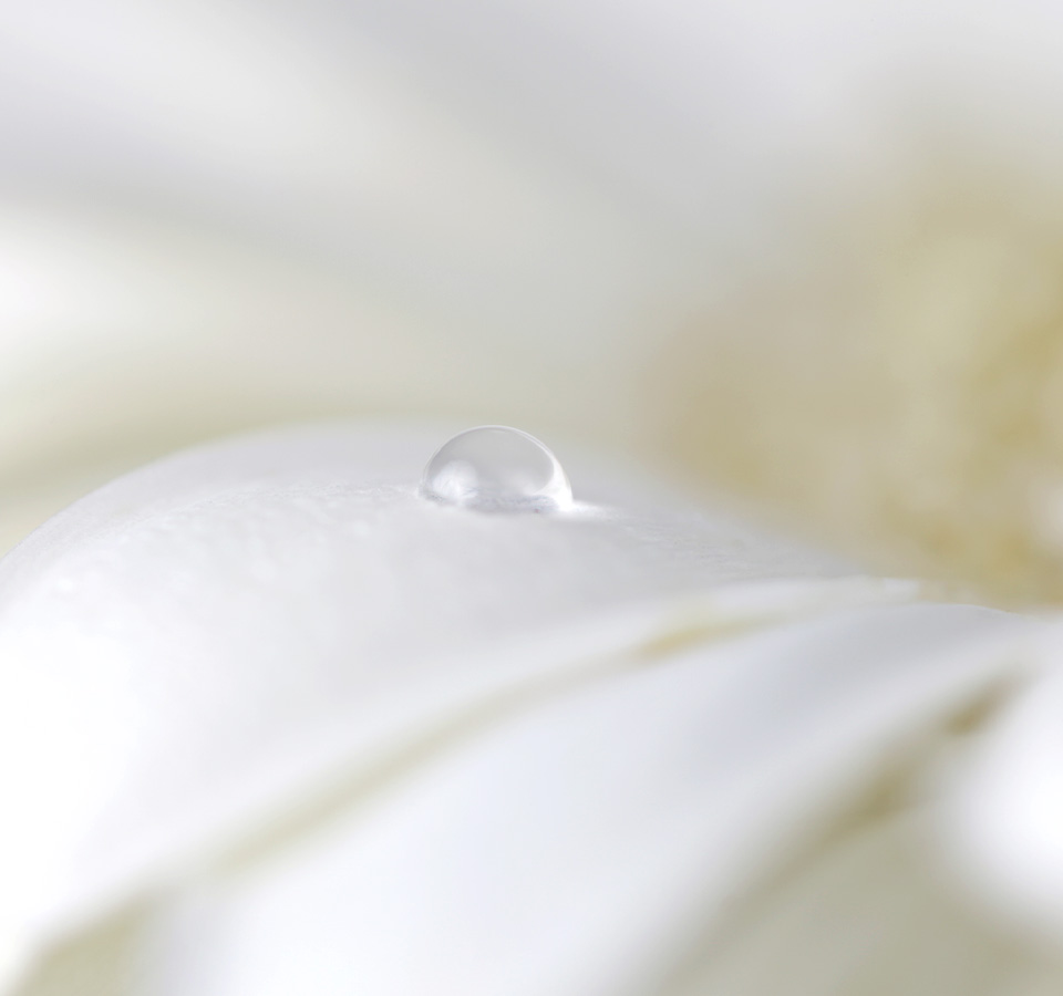 볼뉴머추천대상 이미지